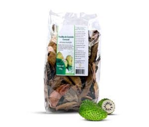 Hojas Enteras de Graviola Corossol