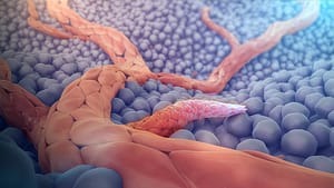 Entdecken Sie das Geheimnis, Krebs zu stoppen: Der Kampf gegen die Angiogenese