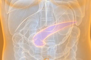 Graviola bei Bauchspeicheldrüsenkrebs