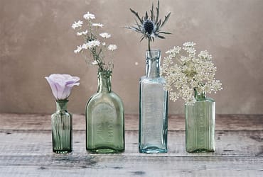 TOP 3. MEILLEURS EXTRAITS DE GRAVIOLA