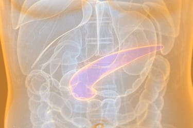 Graviola para Cancro do Pâncreas