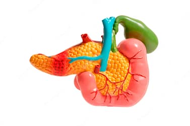 Wie man Bauchspeicheldrüsenkrebs mit Peritonealkarzinose bekämpft: mit medizinischen Behandlungen und natürlichen Behandlungen