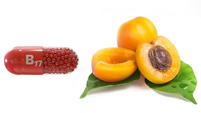 Gélules B17 vs noyaux d'abricots amers : lequel est le plus efficace dans le traitement du cancer ?