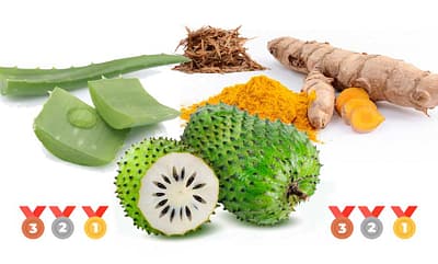 Top 6 Produtos Naturais Contra o Cancro