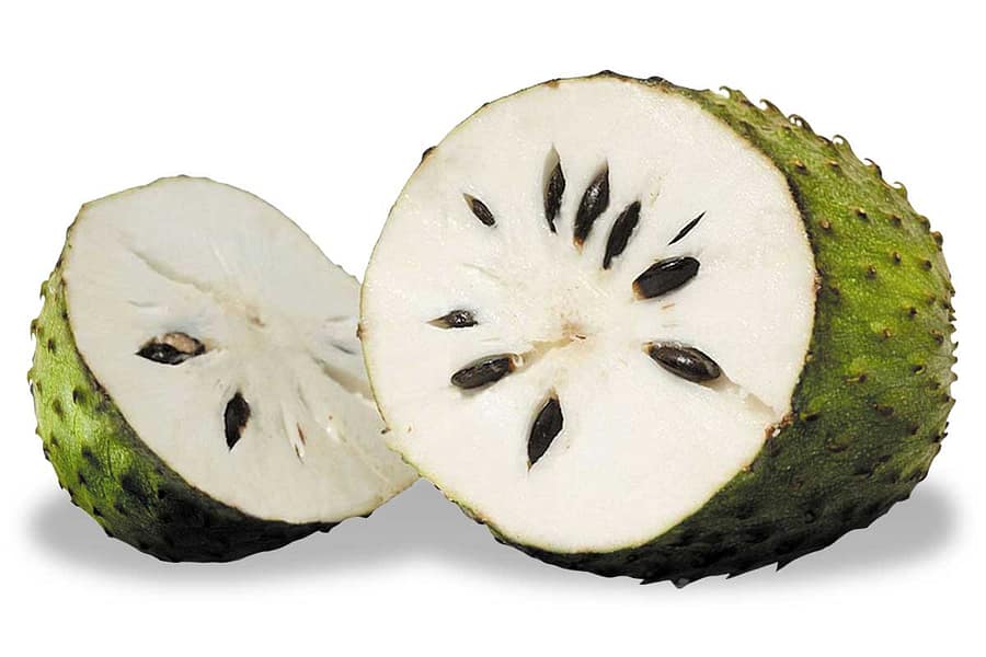 11 avantages de graviola